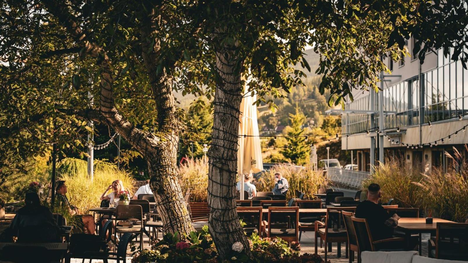 Hotel & Medi-Spa Bialy Kamien Swieradow-Zdroj Luaran gambar